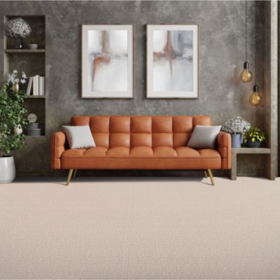 carpets in a metairie living room